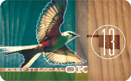 2013 kilo card