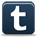 tumblr icon